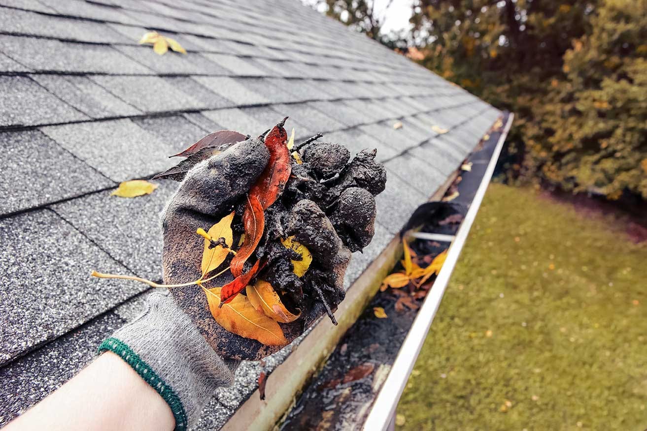 Basic Cleaning — Gutter Cleaning