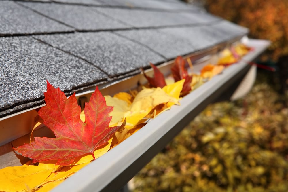 Seasonal Maintenance — Gutter Cleaning
