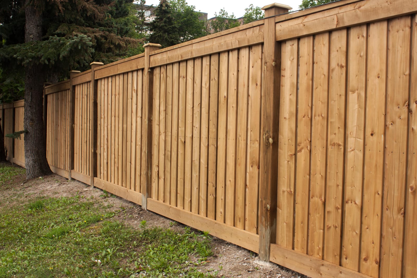 Board-on-Board Privacy — Wood Fences